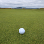 How the Three Main Types of Putting Green Grasses Could Affect Your Short Game