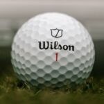 Wilson Staff Model Golf Balls: The 2024 Hunt for Ball Speed