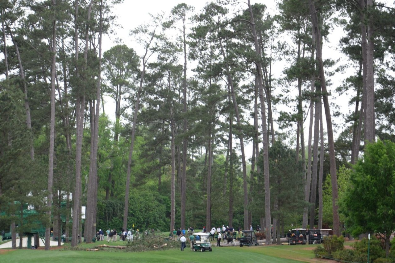 Tall pine trees fall near Masters fans; no injuries